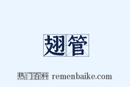 翅管是什么意思的图片